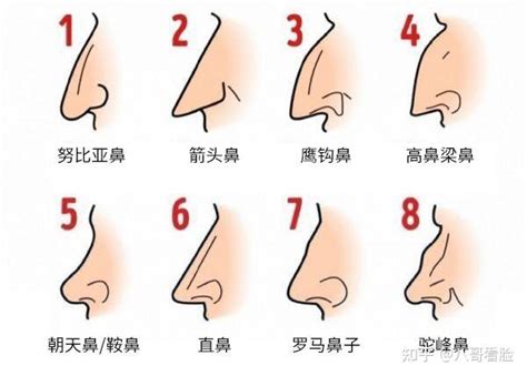 鼻子 面向|十五种鼻型，你属于哪一种？